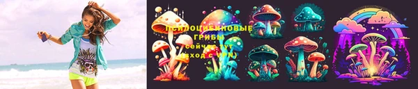 соль ск Бородино