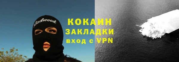 соль ск Бородино