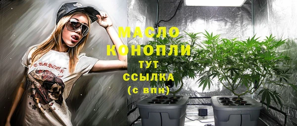 соль ск Бородино