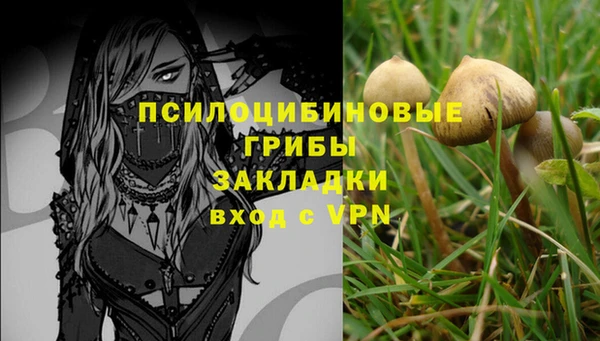 а пвп мука Бугульма