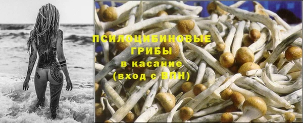 соль ск Бородино