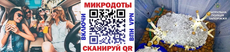 купить наркоту Кострома Псилоцибиновые грибы Cubensis